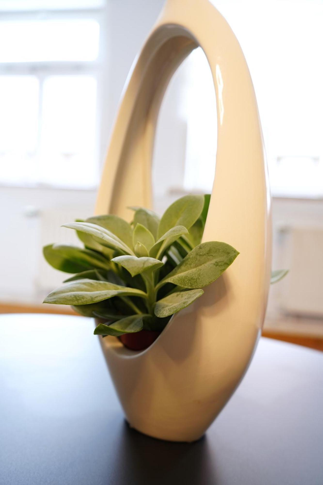Apartament Casa Antonia